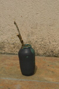 Dsc 0549