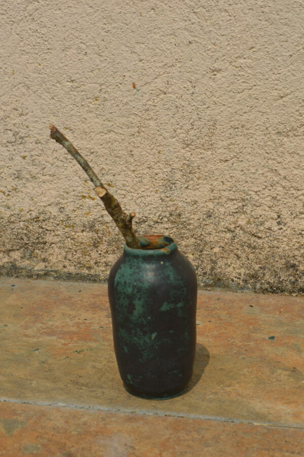 Dsc 0550