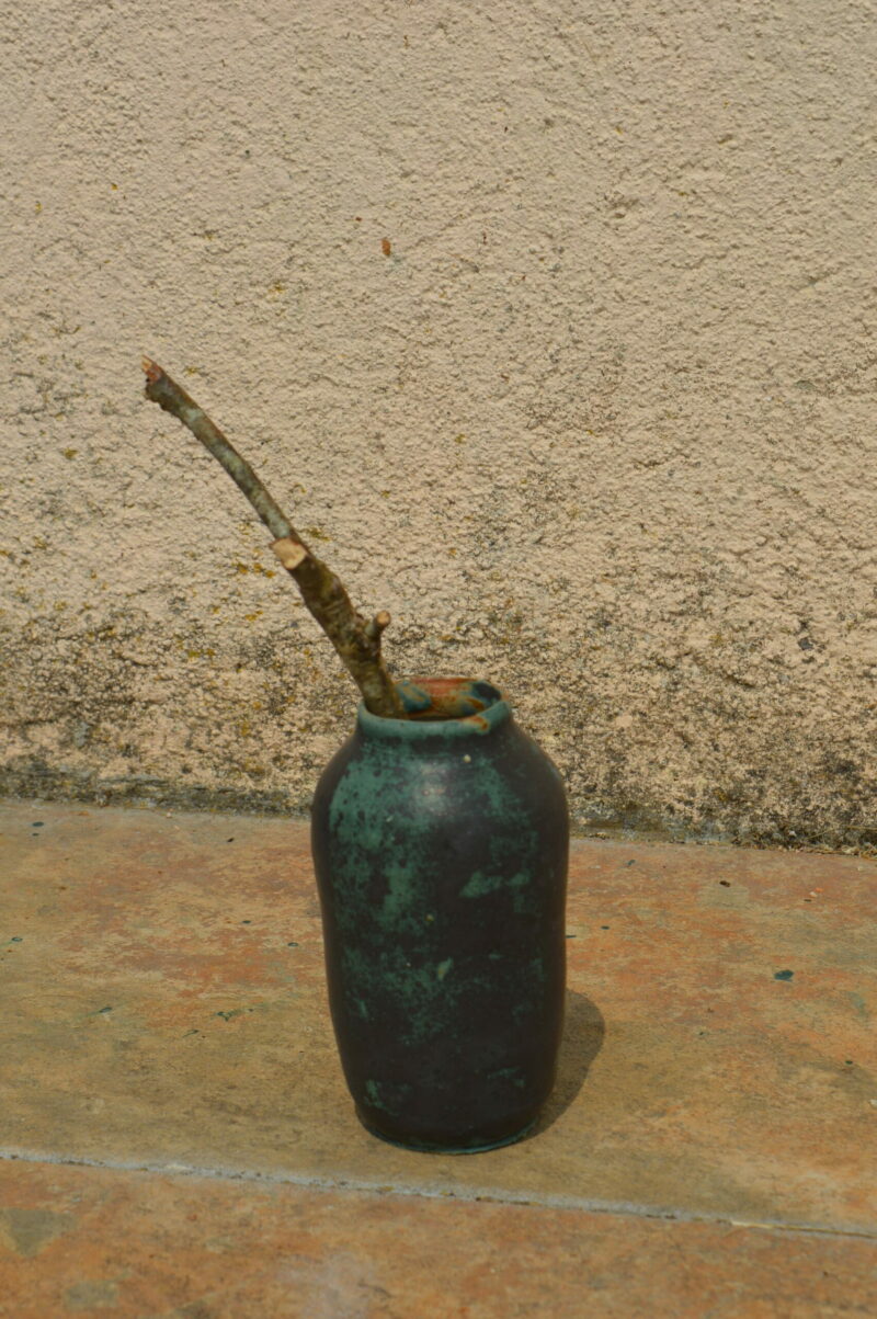Dsc 0550