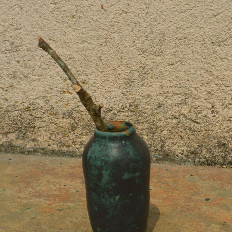 Dsc 0550