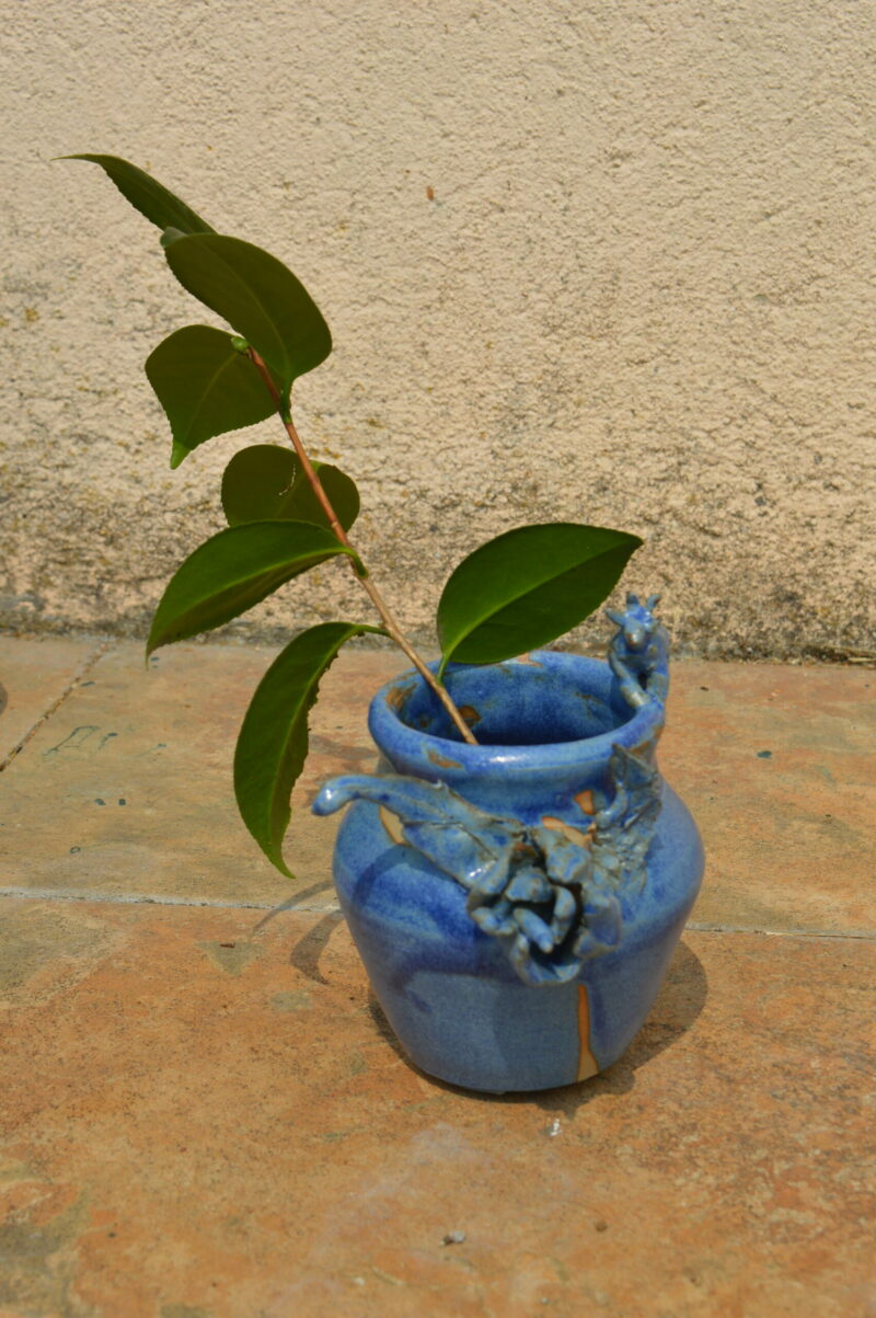 Dsc 0553