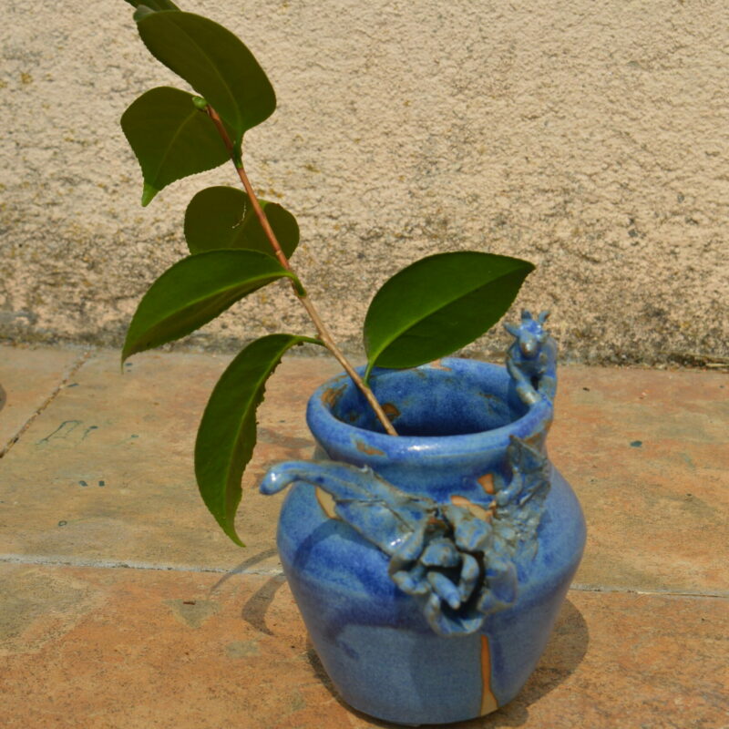 Dsc 0553