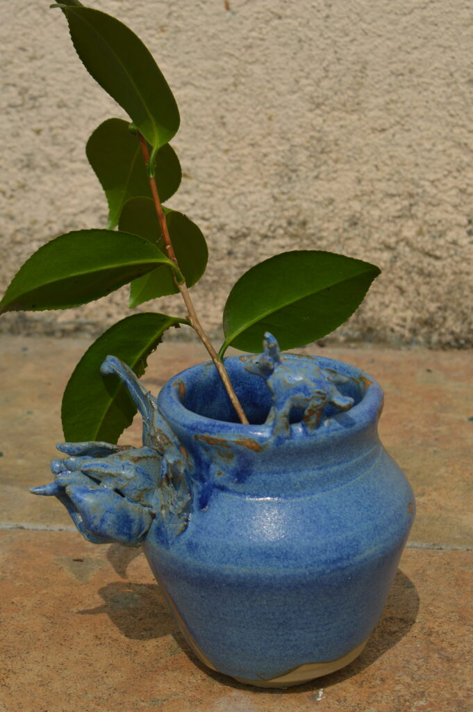 Dsc 0555