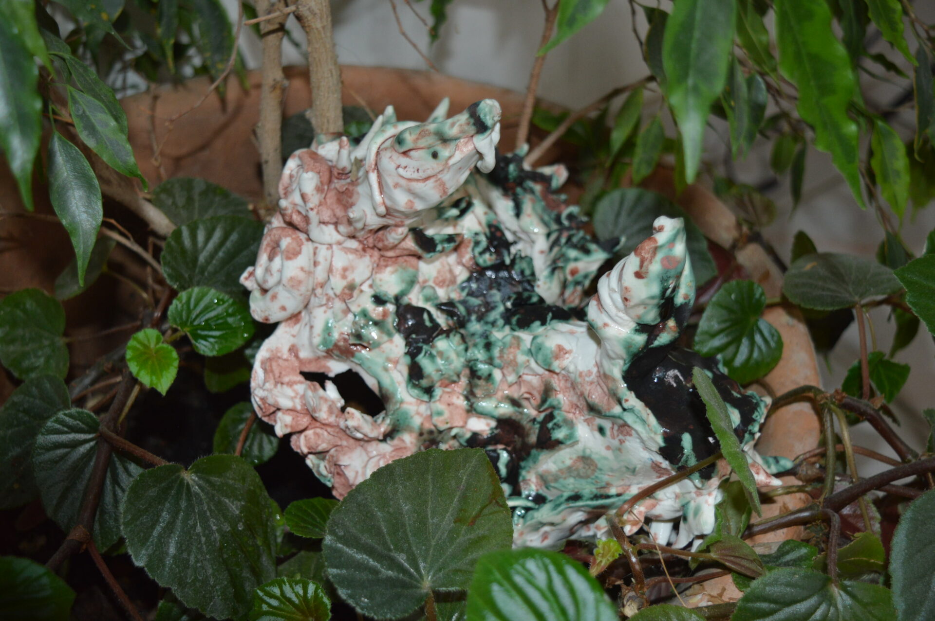 Quiyrin le maître des dragons